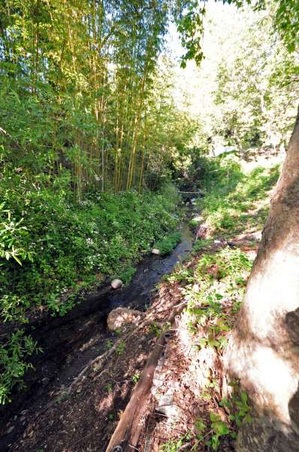 Enlarge photo 78