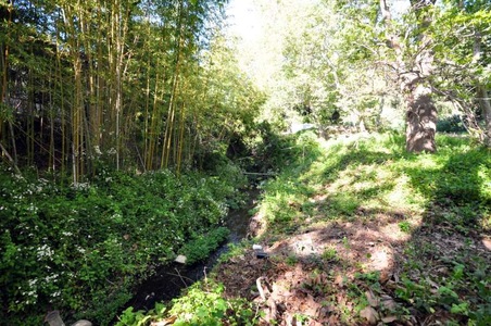 Enlarge photo 79