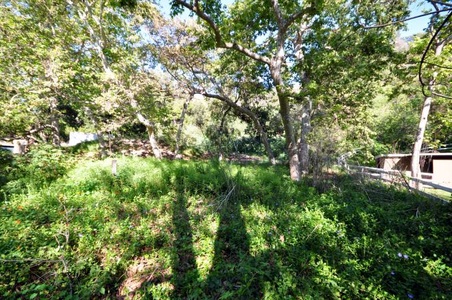 Enlarge photo 80