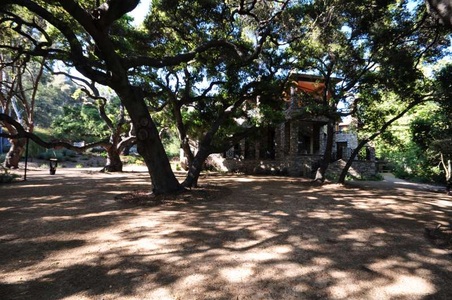 Enlarge photo 83