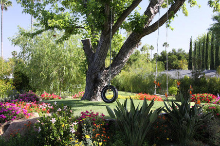 Enlarge photo 6