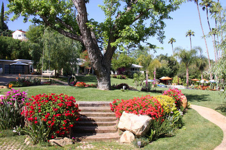 Enlarge photo 7