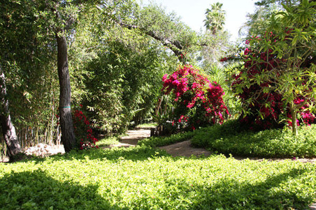 Enlarge photo 8