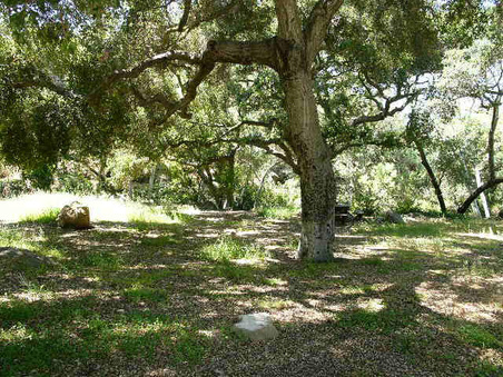 Enlarge photo 46