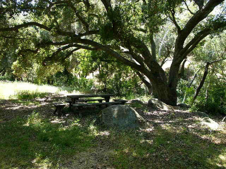 Enlarge photo 56