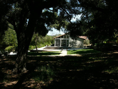 Enlarge photo 57