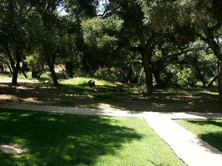 Enlarge photo 58