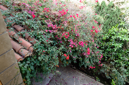 Enlarge photo 83