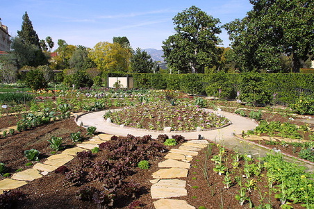 Enlarge photo 7