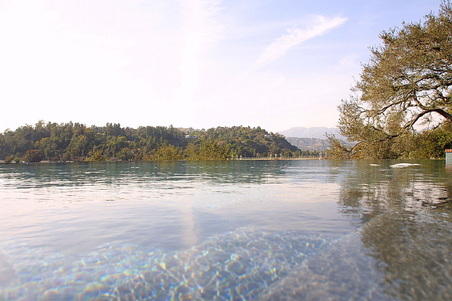 Enlarge photo 37