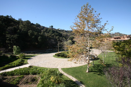 Enlarge photo 55