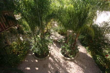 Enlarge photo 65