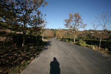 Enlarge photo 89