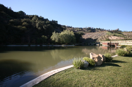 Enlarge photo 90