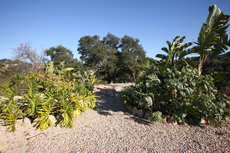 Enlarge photo 102