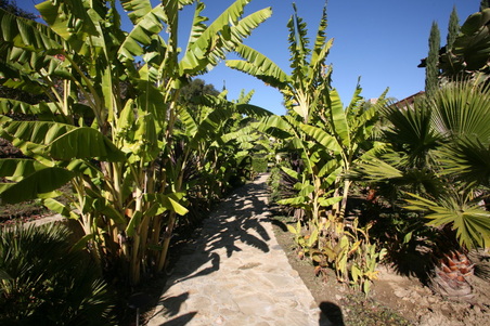Enlarge photo 113