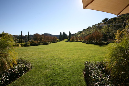 Enlarge photo 114