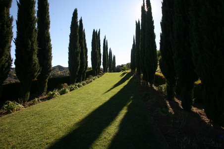 Enlarge photo 117