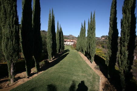 Enlarge photo 118