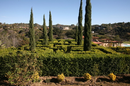 Enlarge photo 120
