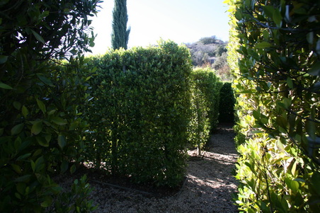Enlarge photo 121