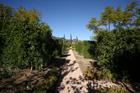 Enlarge photo 123