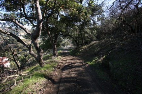 Enlarge photo 129