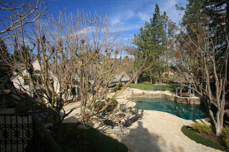 Enlarge photo 96