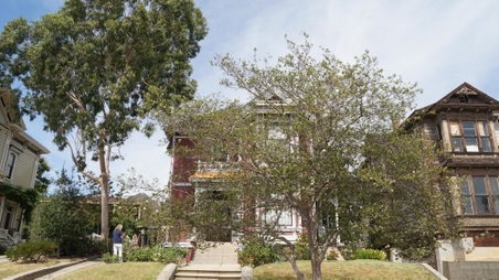 Enlarge photo 56