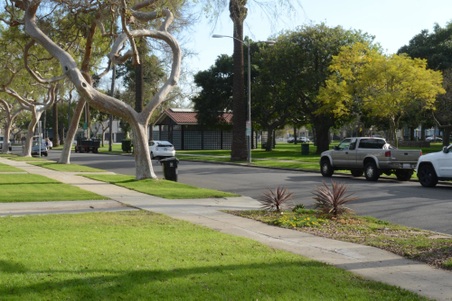 Enlarge photo 26