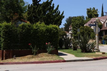 Enlarge photo 13