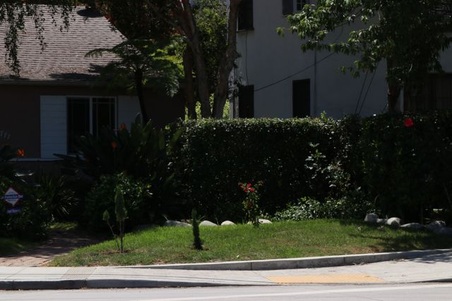 Enlarge photo 6
