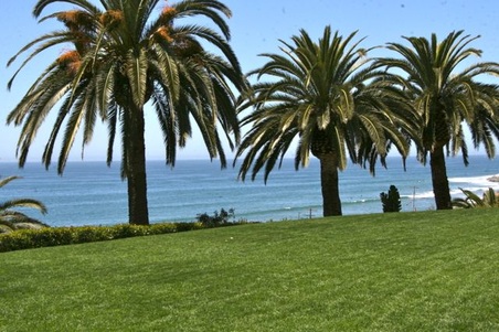 Enlarge photo 26
