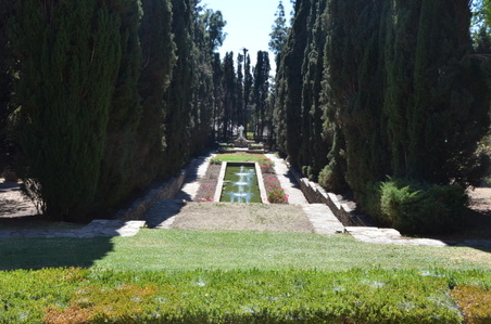 Enlarge photo 6