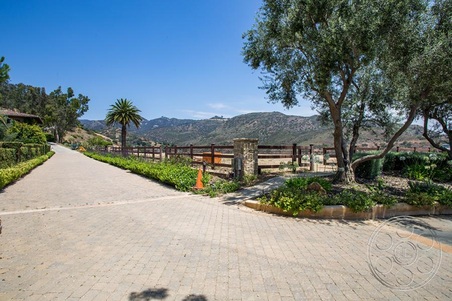 Enlarge photo 89