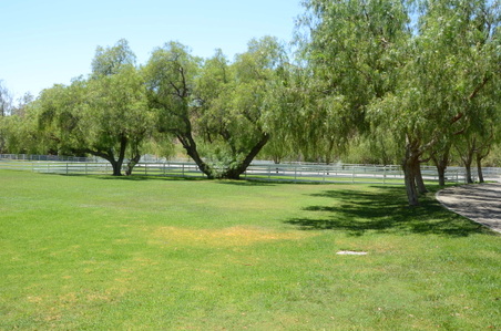 Enlarge photo 86