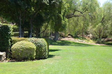 Enlarge photo 87