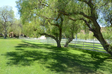 Enlarge photo 88