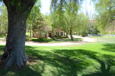 Enlarge photo 93