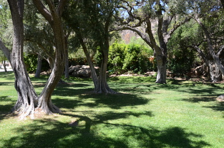 Enlarge photo 94