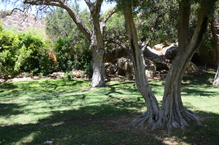 Enlarge photo 96