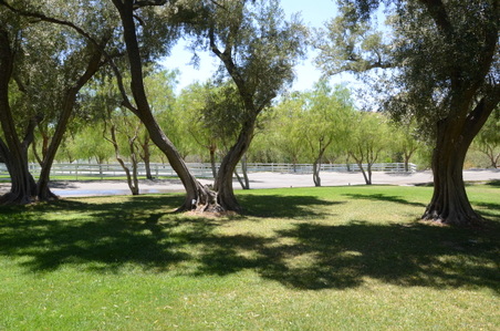 Enlarge photo 97