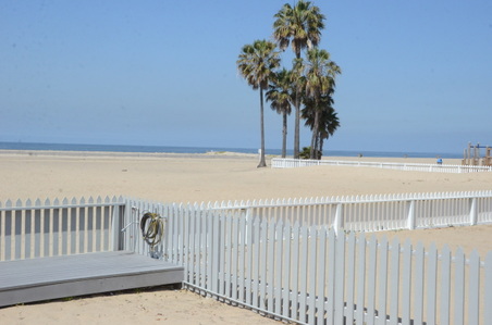 Enlarge photo 65