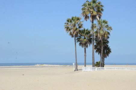 Enlarge photo 67