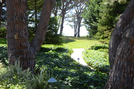 Enlarge photo 1