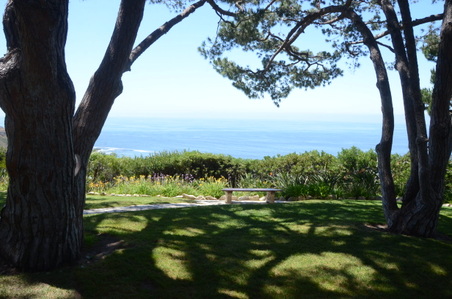 Enlarge photo 12