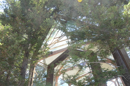 Enlarge photo 18