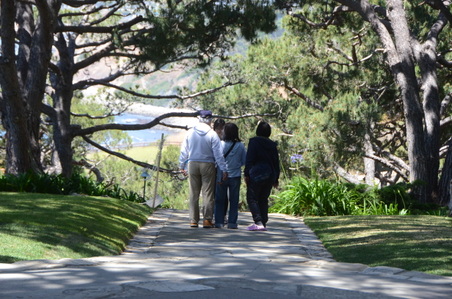 Enlarge photo 38