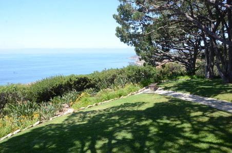 Enlarge photo 40