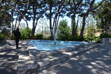 Enlarge photo 41